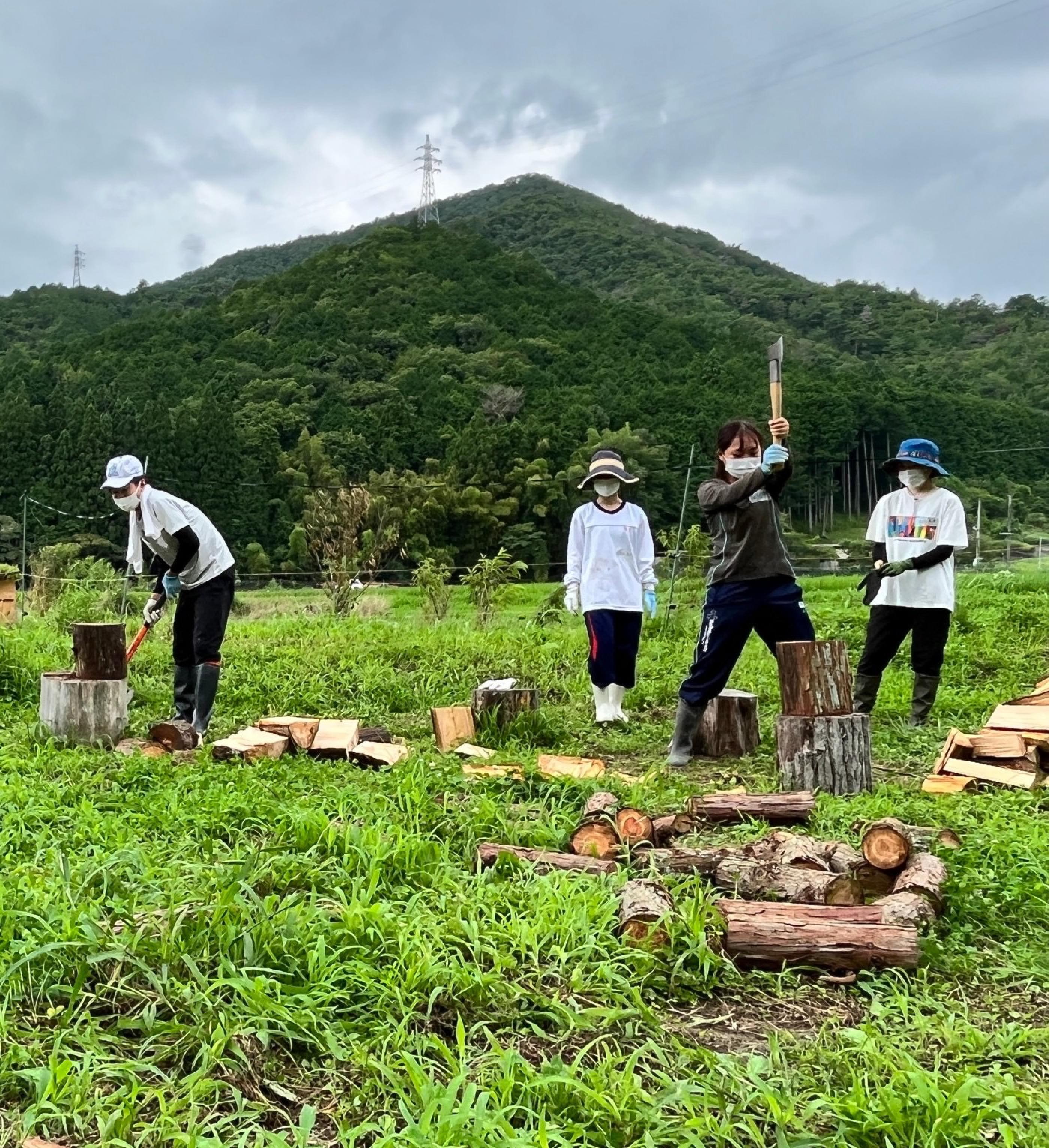 4人の女性が薪割りをしている様子