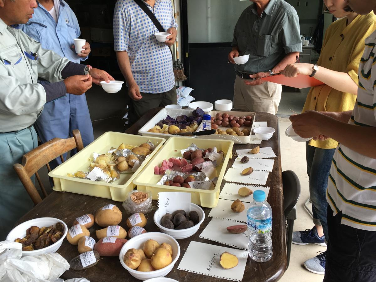 「丹波の赤じゃが」プロジェクト