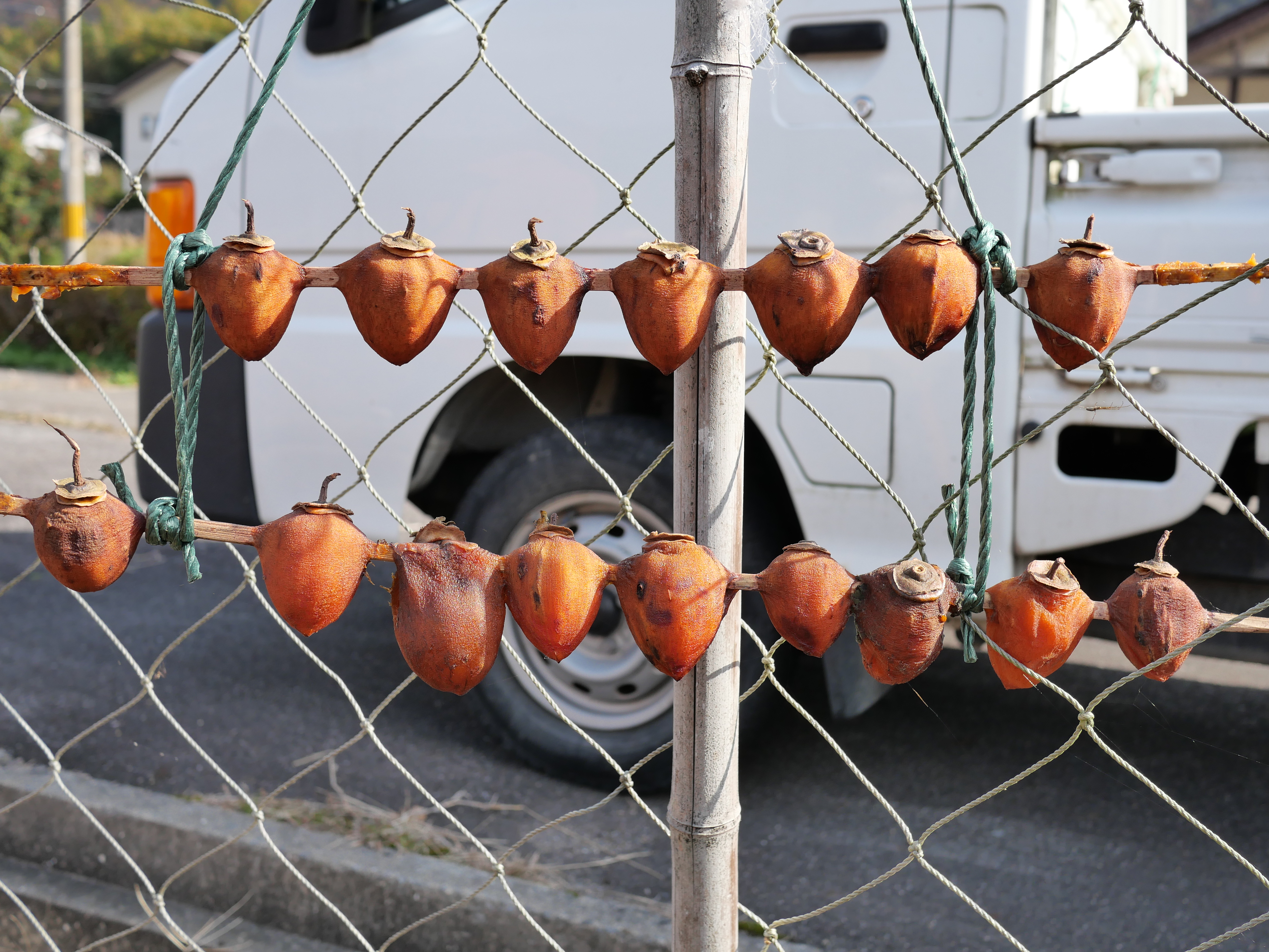 地域食継承プロジェクト