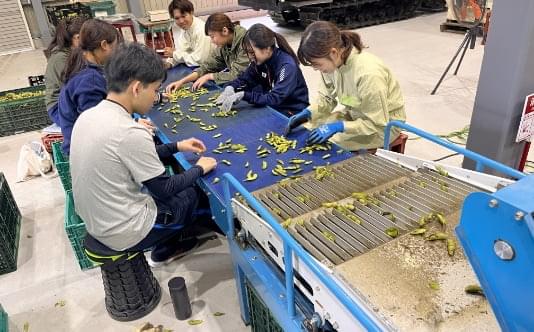 活動・情報支援