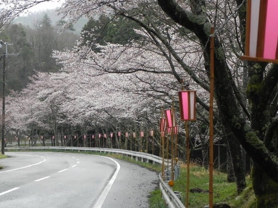 丹波篠山市内の祭囃子等の保存・伝承